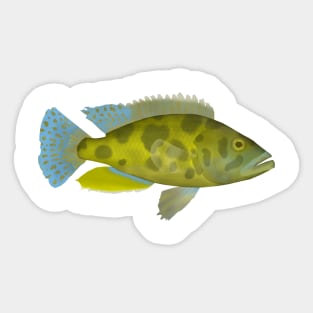 Livingston Cichlid Sticker